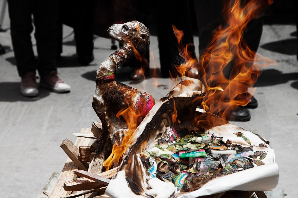 20151016_Tambo_0116_low