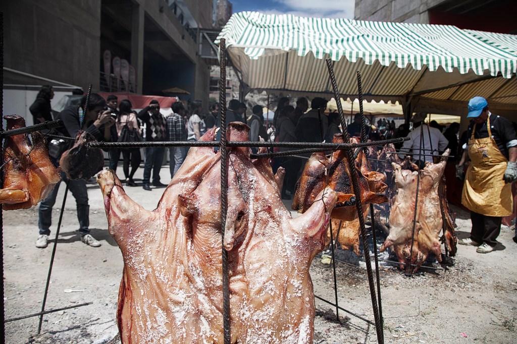 20151016_Tambo_0366_low