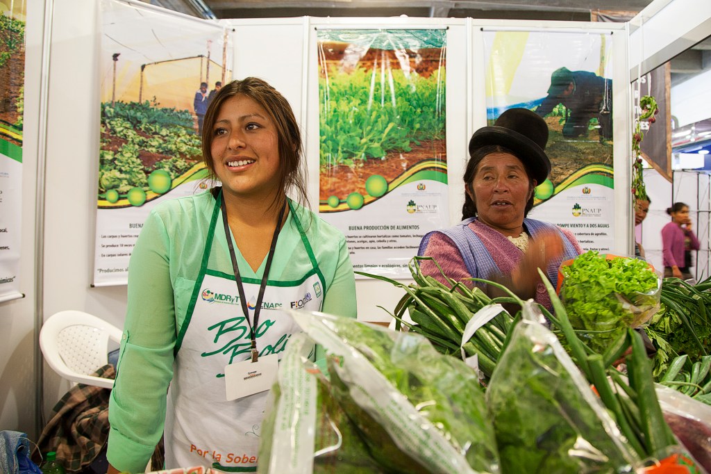 20151016_Tambo_0433_low