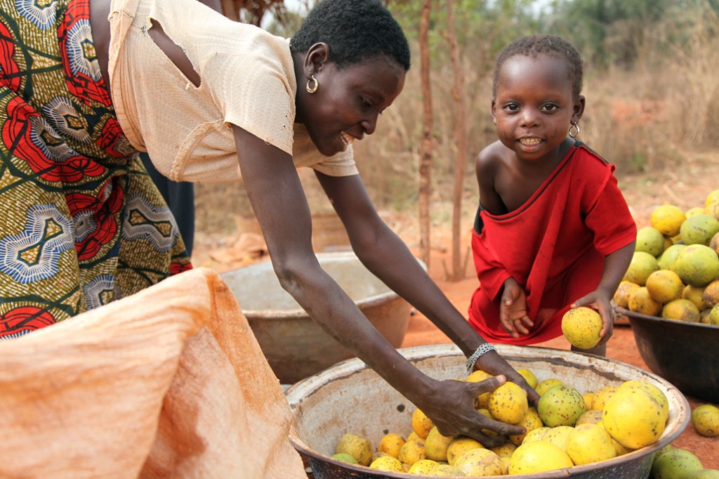 En kvinde er igang med fylde en glasfiber sæk med appelsiner. Hun har en butik på landevejen mellem Bohicon og Cové. Vejen er finansieret af Danida og blev bygget færdig i 2006. Den har betydet meget mere trafik og dermed meget mere handel. Hun fortæ