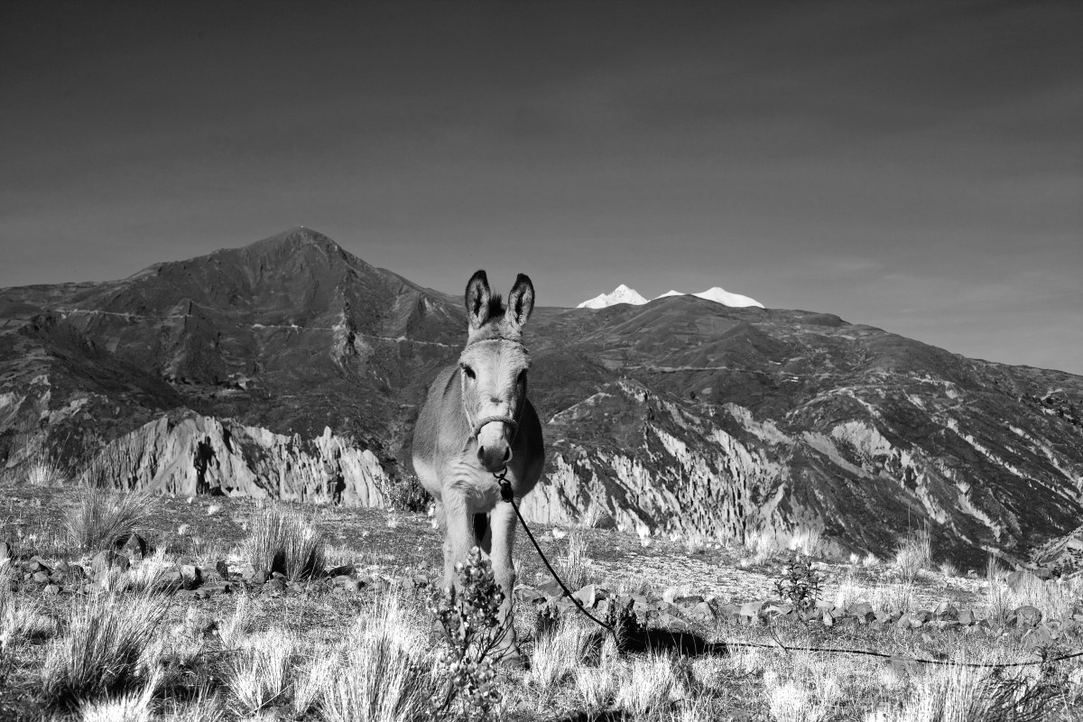 2014_05_26__0045_edit